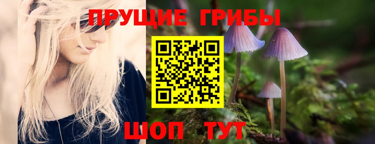 Псилоцибиновые грибы Psilocybe Узловая