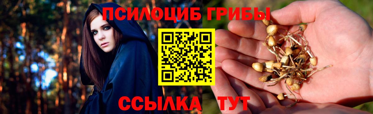 Псилоцибиновые грибы прущие грибы  где купить наркоту  Вход с VPN  Узловая  Псилоцибиновые грибы Magic Shrooms 